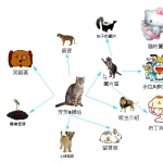 第61屆六年丙班學生作品