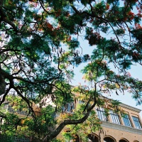 民國90年群美老闆拍攝草國校景